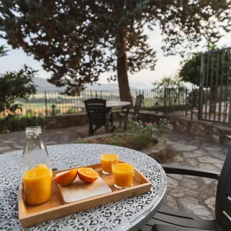 Masia Boutique Con Infinity Pool